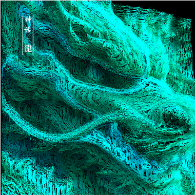 交互作品1