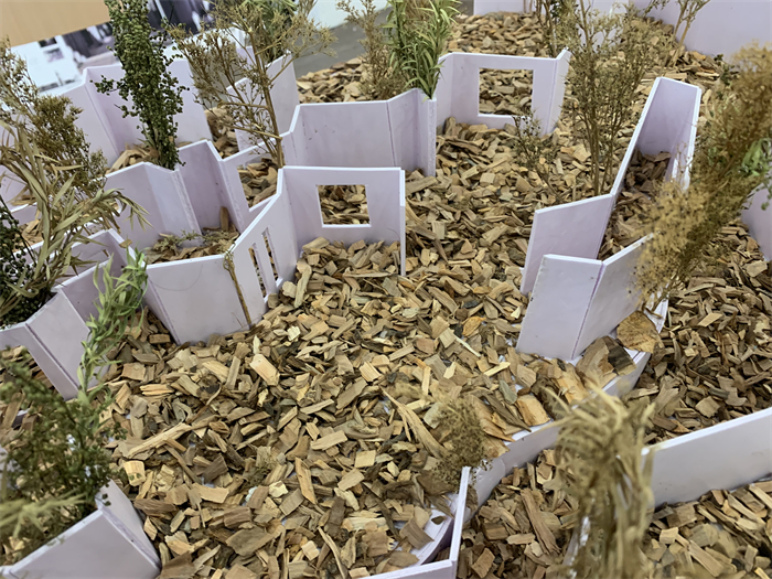 图10 徐圣博 王金莜 管健模型作业.jpg